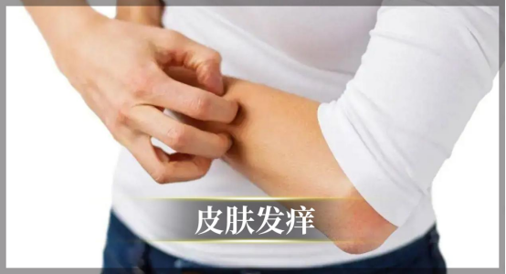 微信图片_20221227141007.png