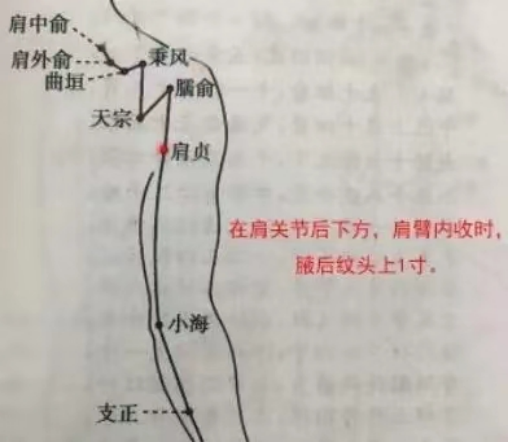 微信图片_20230223092557.png