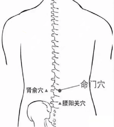微信图片_20230223092650.png