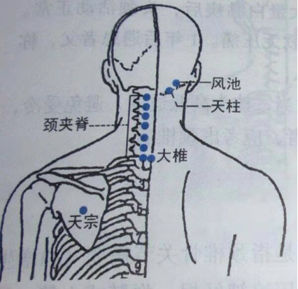 微信图片_20230223092538.png
