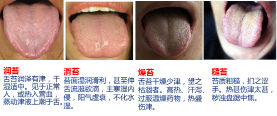 微信图片_20230228094517.png