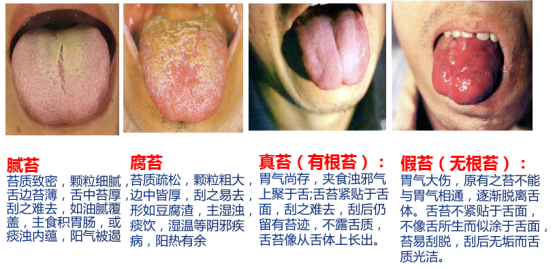 微信图片_20230228094526.png