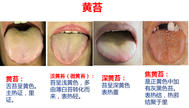 微信图片_20230228094544.png