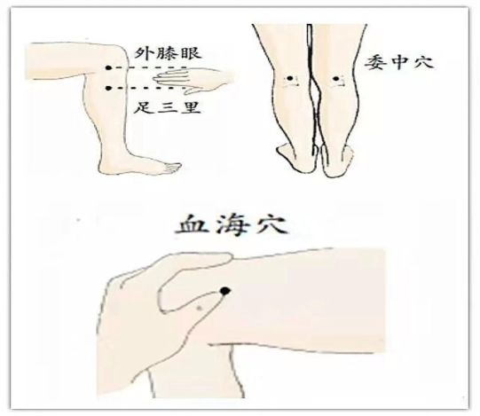 微信图片_20230228094004.png