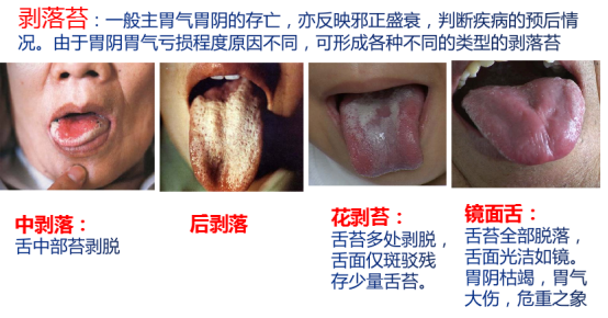 微信图片_20230228094529.png